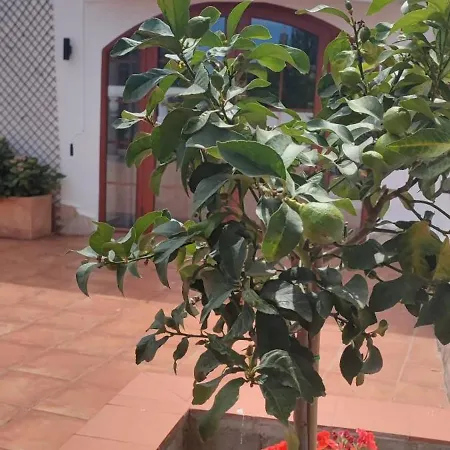 Detached For 6 People In Lloret De Mar With Comunal Outdoor Swimming Pool Villa Puigventos